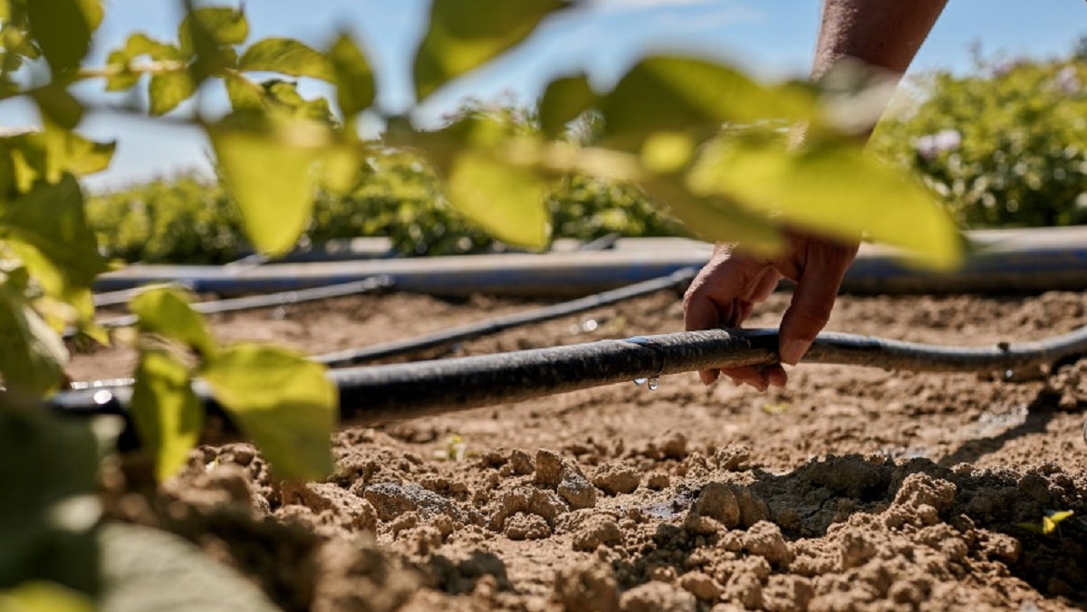 Irritec adquiere participación mayoritaria en Agrifim de Colombia, afianzando su presencia en América Latina